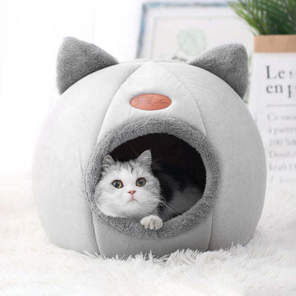 Nova cama para gatos e cães de porte pequeno. Super confortável. Otimo para o Inverno.