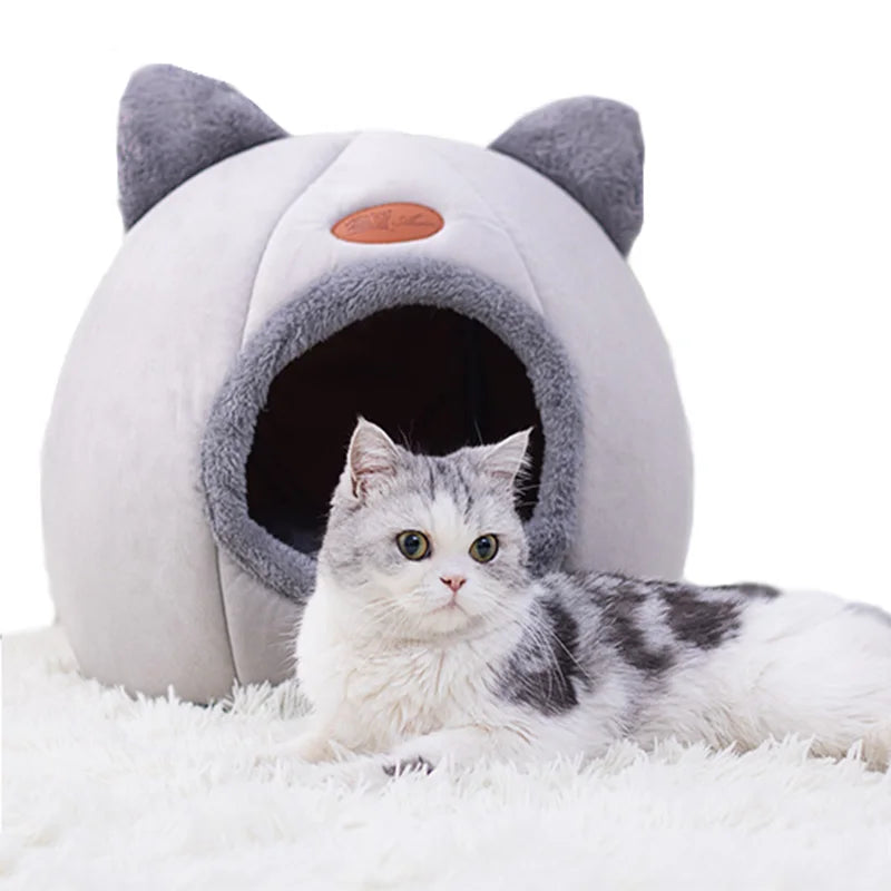 Nova cama para gatos e cães de porte pequeno. Super confortável. Otimo para o Inverno.