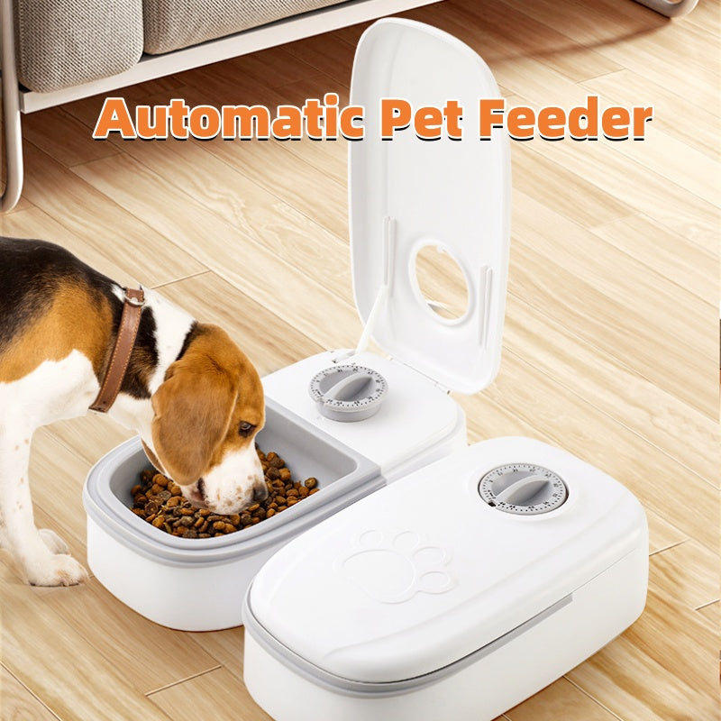 Comedouro Automático para animais. Comedouro Inteligente com Temporizador, em aço Inoxidável