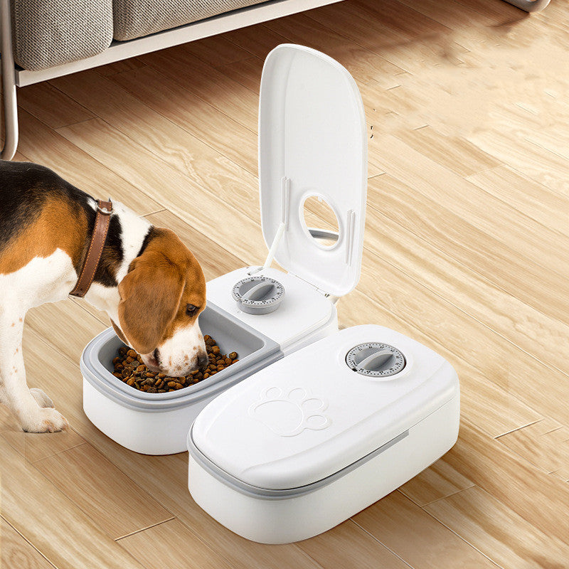 Comedouro Automático para animais. Comedouro Inteligente com Temporizador, em aço Inoxidável